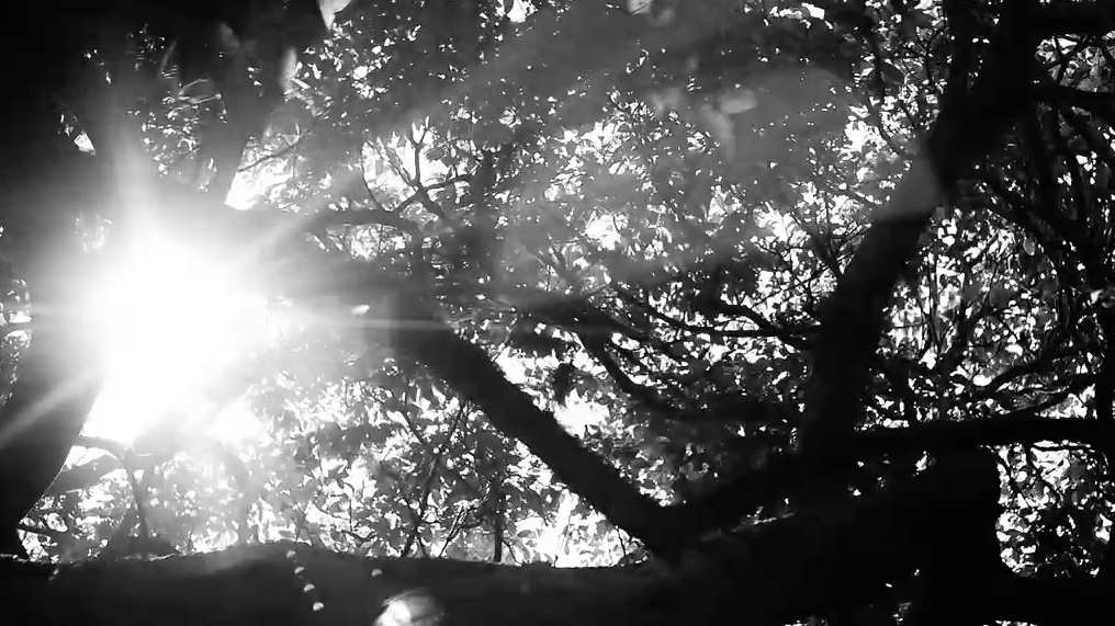 60 min Quiet & Calm: A Yin Practice 