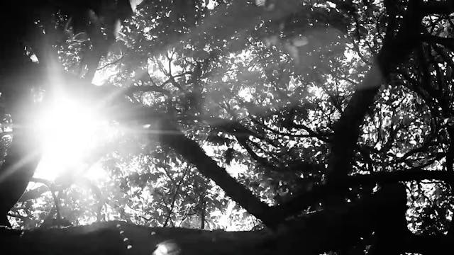 60 min Quiet & Calm: A Yin Practice