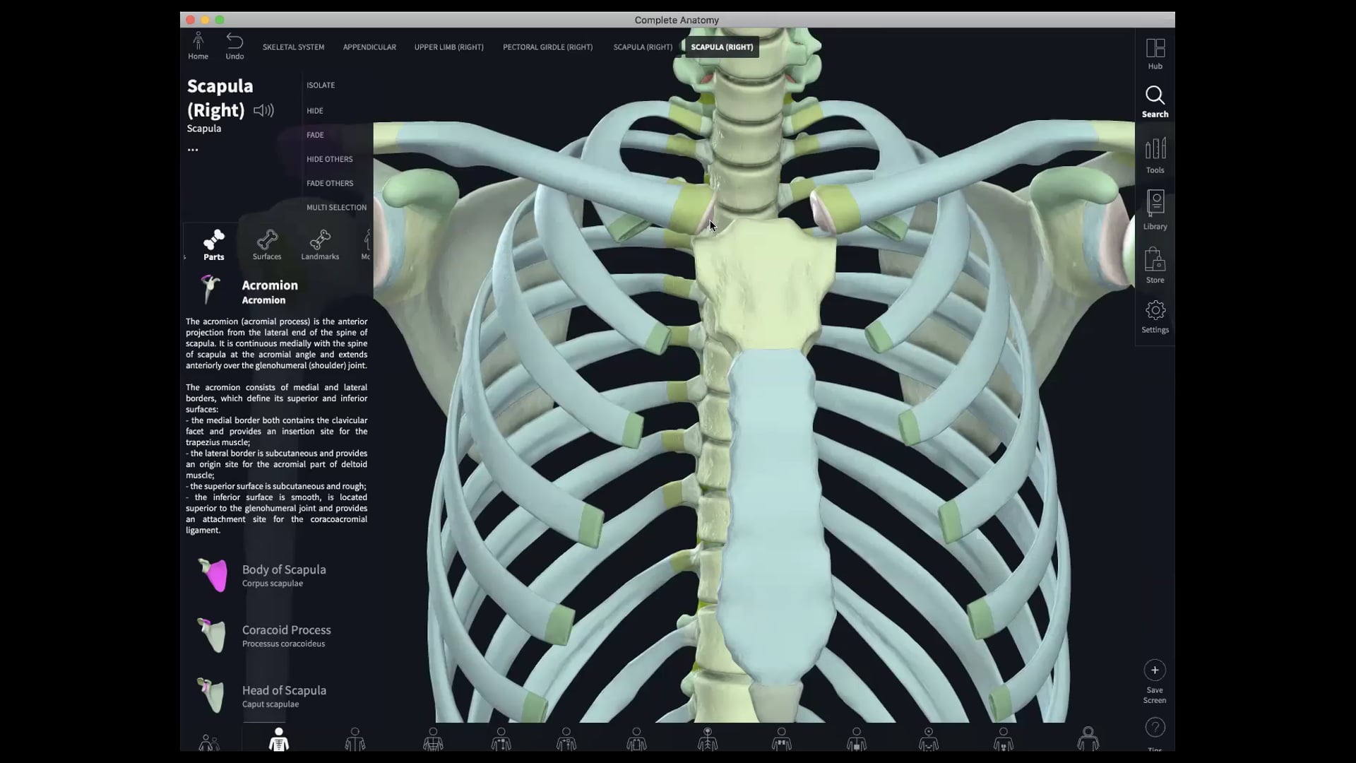 Jan 28: Slow Shoulder Therapy (Basic-Int) 