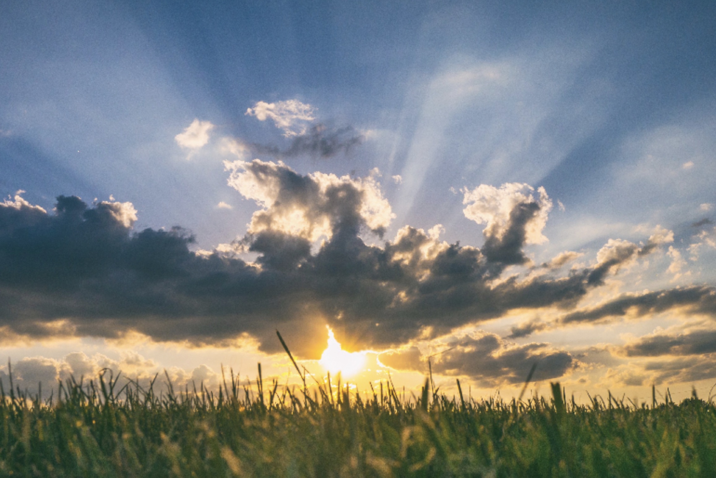 Advanced Breathwork - Remove Cobwebs (30 min)