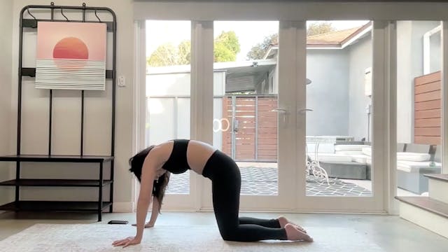 Somatic Stretch, Reset + Relax (35 min)