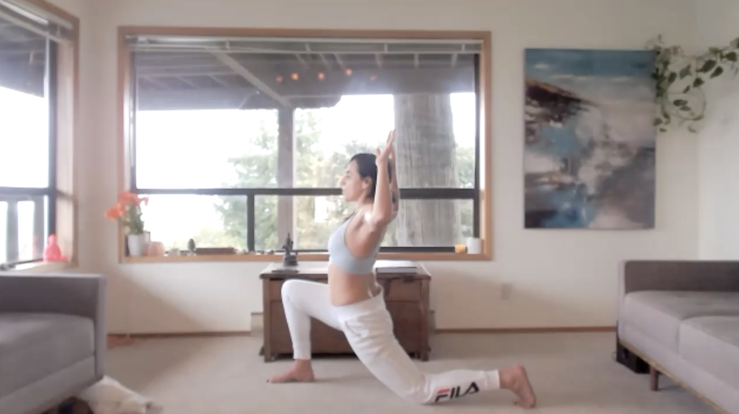 Shoulder & Chest Opening Flow