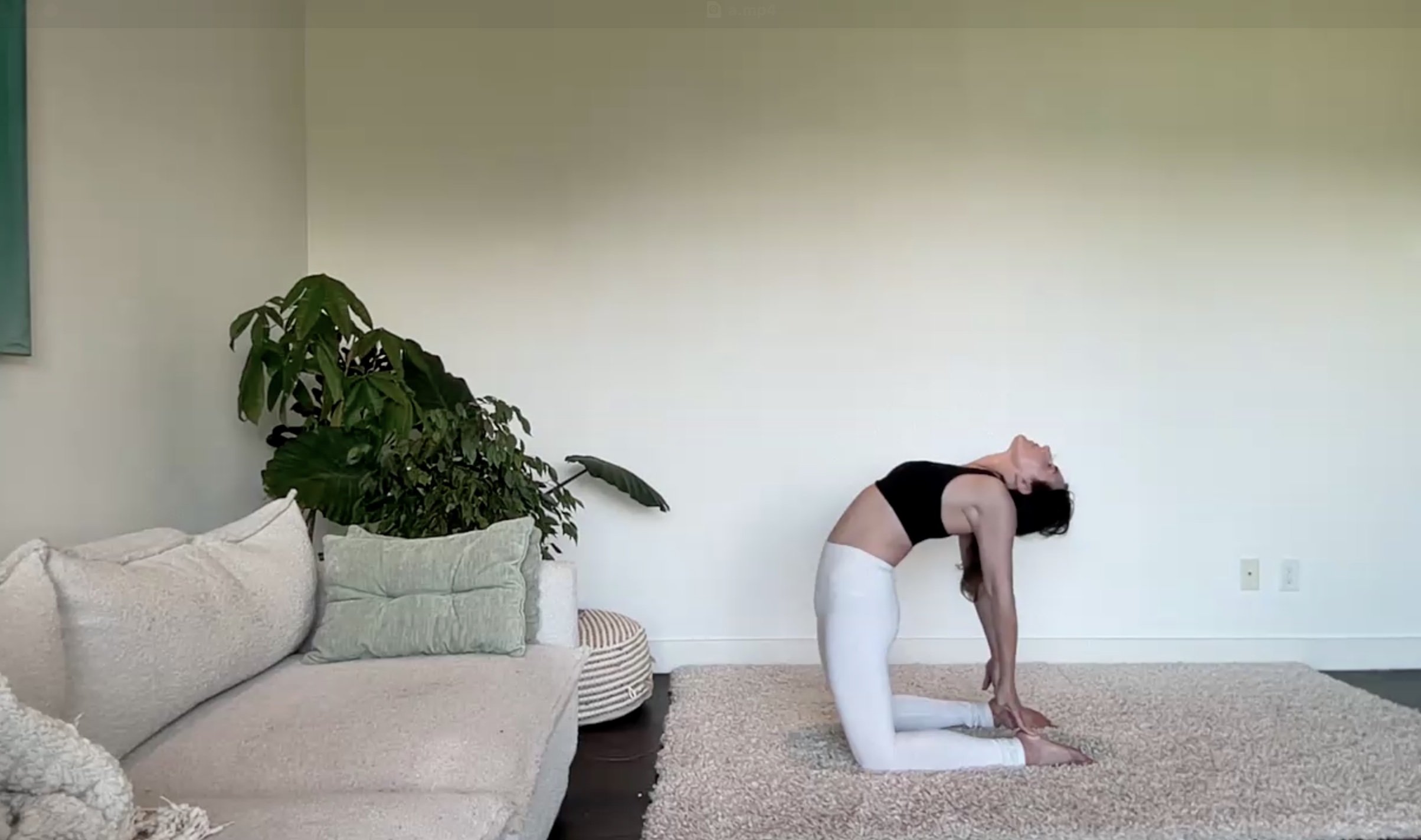 July 4: Express Full-Body Flow (30 min) 