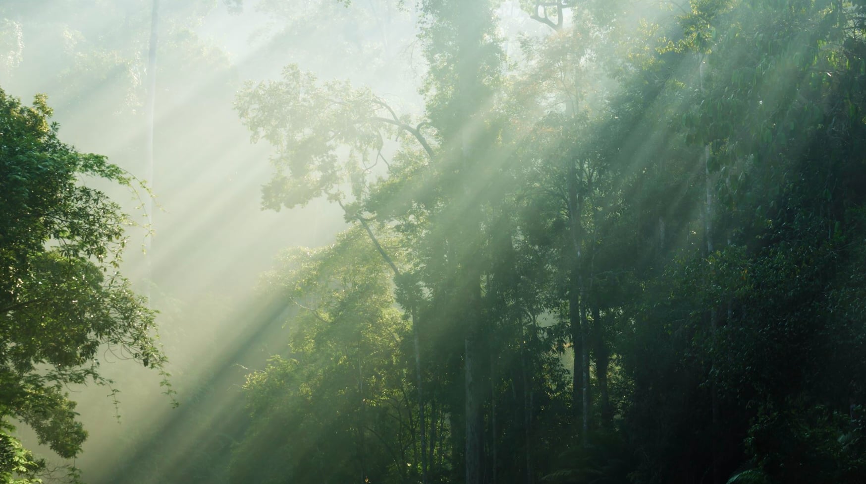 Mar 26: Mindfulness & Calming Breath (32 min)