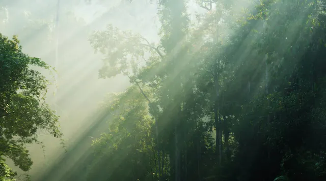 Mar 26: Mindfulness & Calming Breath ...