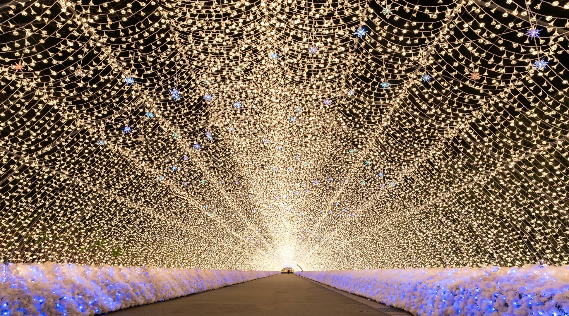 Free Winter Solstice Ritual (90 min)