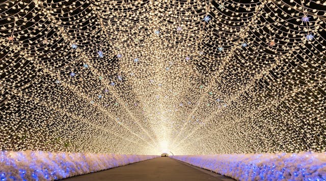 Free Winter Solstice Ritual (90 min)