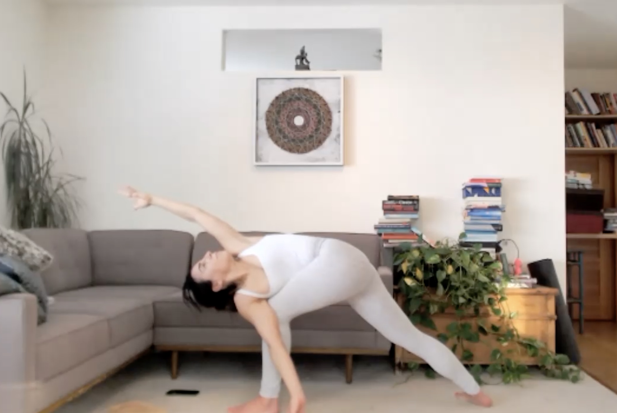 Surya B Flow + Twists (55 min)