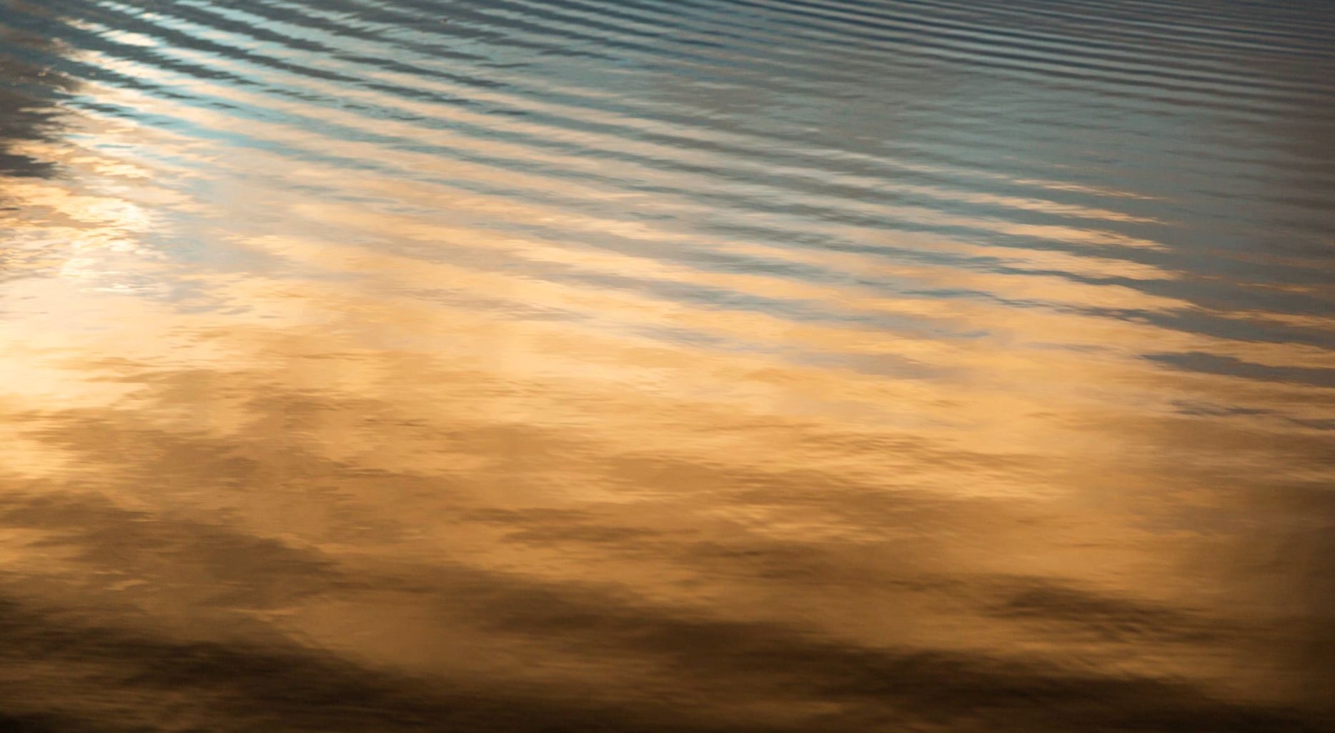 Sept 19: Adrenaline & Advanced Breathwork Practice (minimal cueing) 29 min