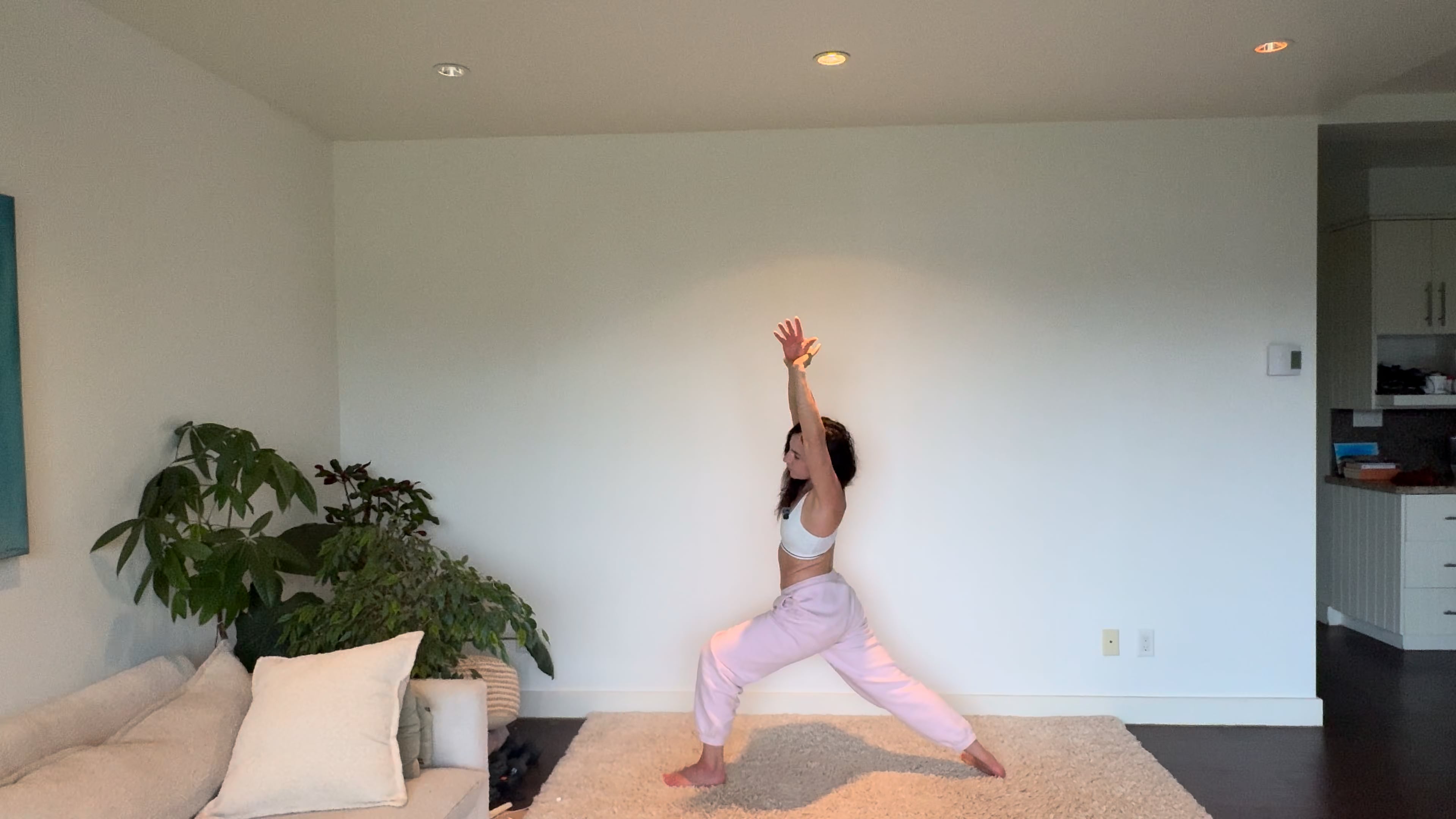 Sept 15: Spine & Mood Flow (45 min)