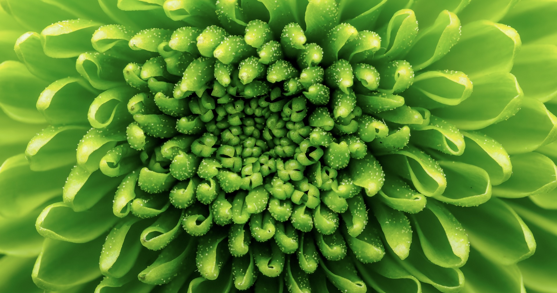 June 14: Advanced Breathwork, Mood & Brainstem (30 min) 