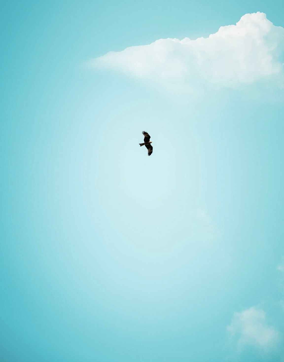 June 24: Breathwork for Letting Go (30 min)