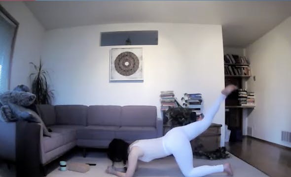 Gluteal Toning + Hips + Transmute Let...