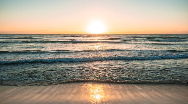 July 31: Clarity Kriya + Rapid Physio...