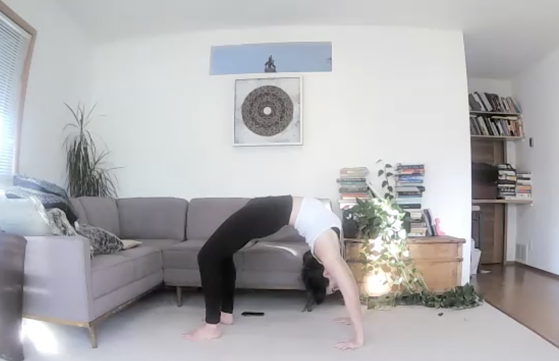 Slow Burn + Backbend Sequence (60 min)