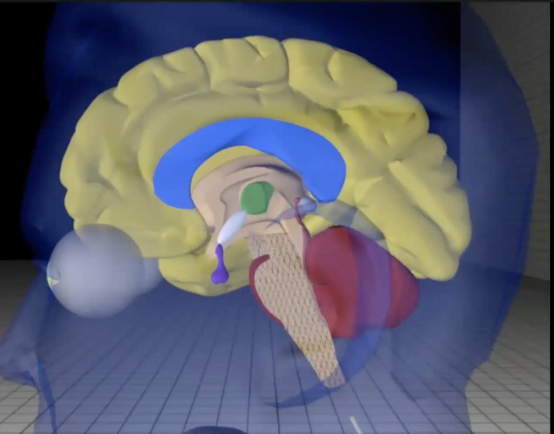 Jan 4: Feel Good Flow + Hips + Visual Aid on SNS