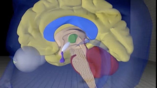 Jan 4: Feel Good Flow + Hips + Visual...