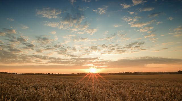 Nov 20: Advanced Mid-Week Moodlift