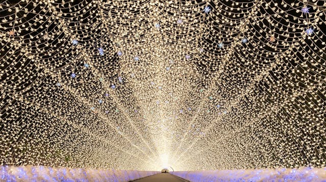 Dec 10: Solstice Countdown Breathwork...