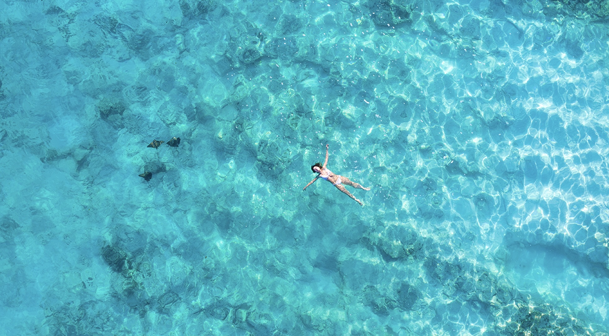 May 10: Advanced Practice: Adrenaline to Dopamine (33 min) 