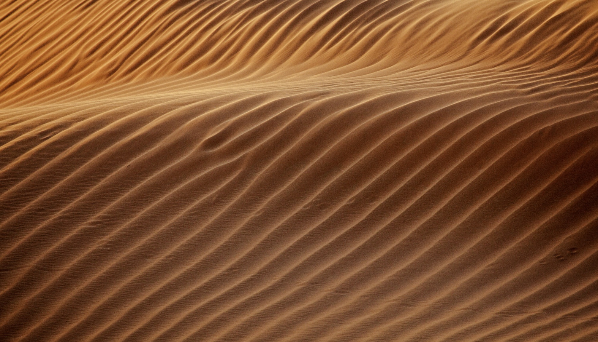 Earth, Grounding Breath Practice (32 min)