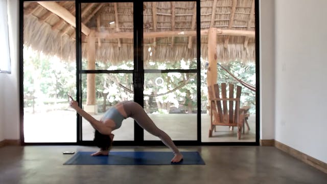 Shoulder Rx Flow (30 min)