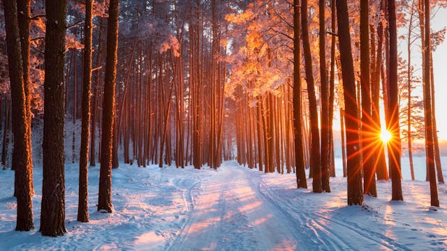 Surya Kriya Breath for Mood & Brain F...