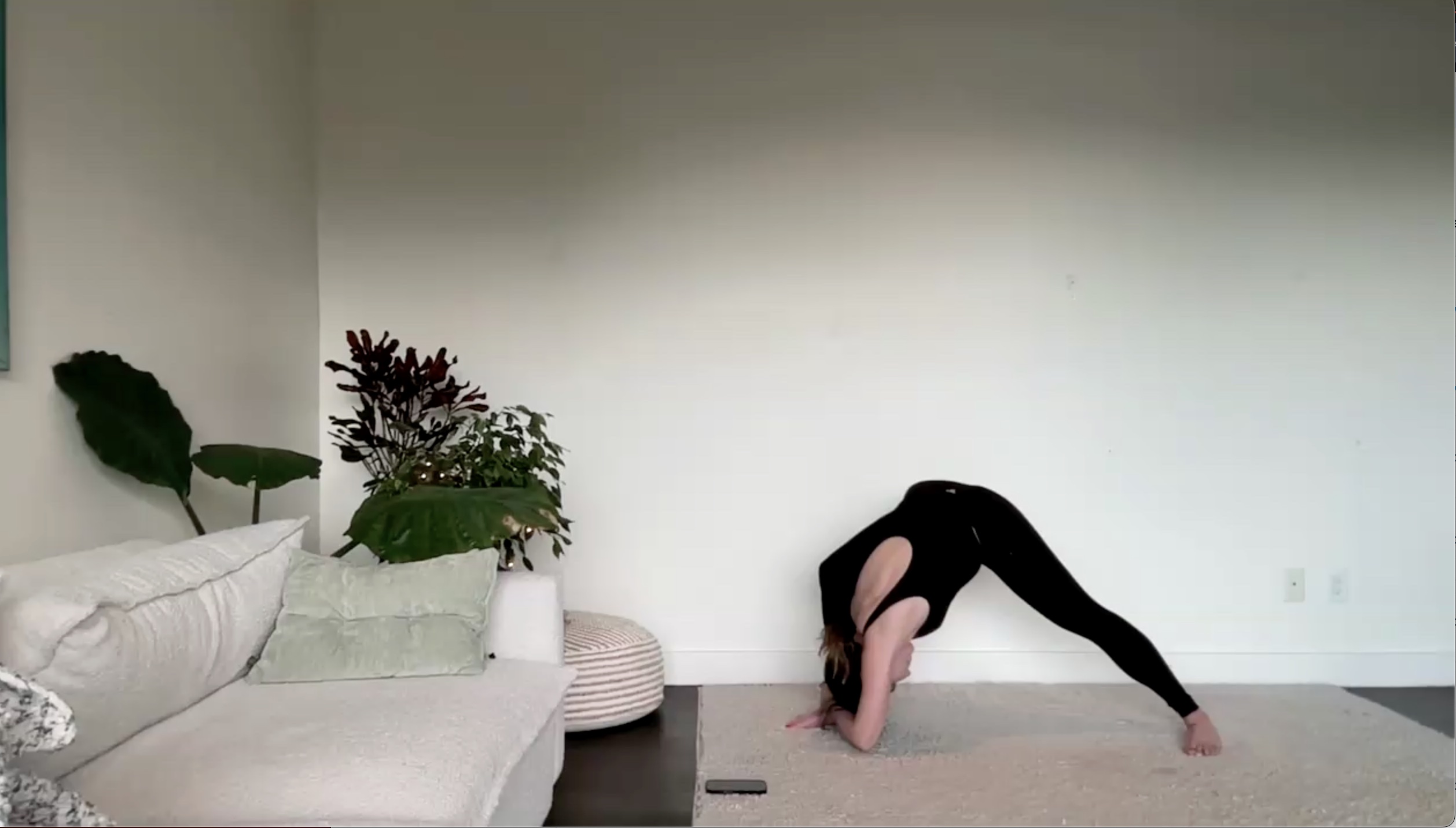 March 13: Hips & Shoulders Vinyasa (60 min)