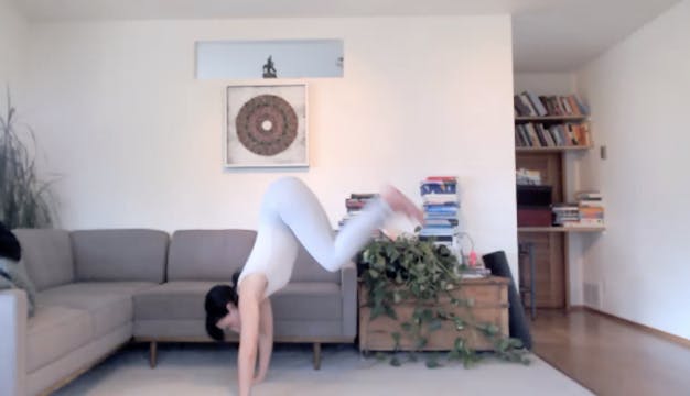 Catharsis: Sweat + Cardio Bursts + Yo...