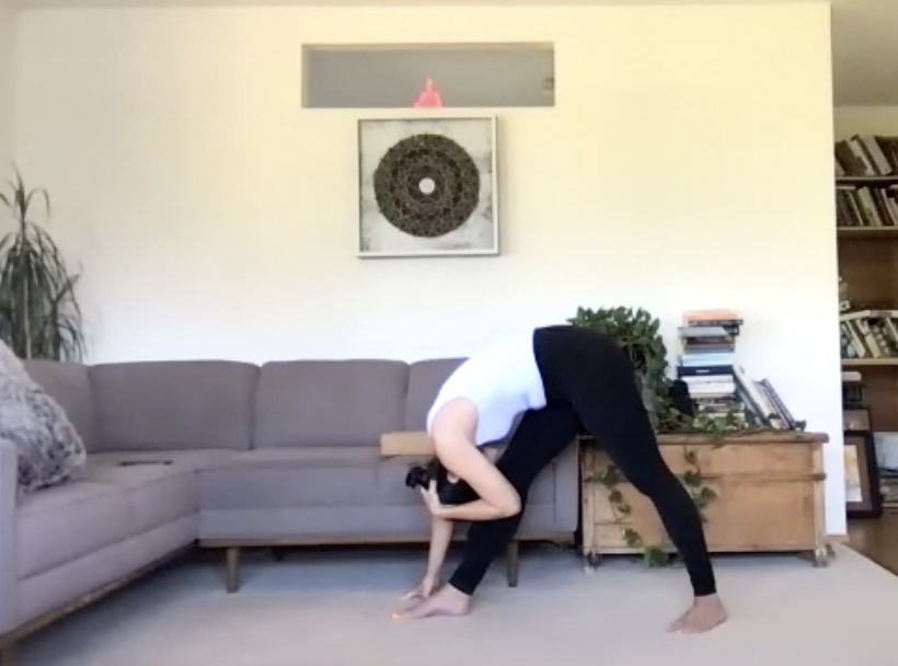 June 24: Organs to Skin Cleanse!