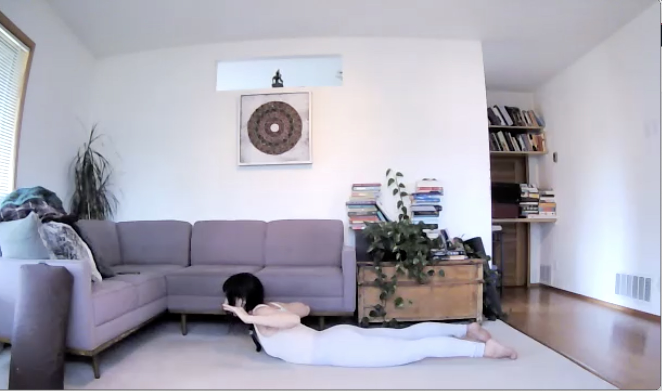 Flow + Backbends & Heart Openers (60min) 