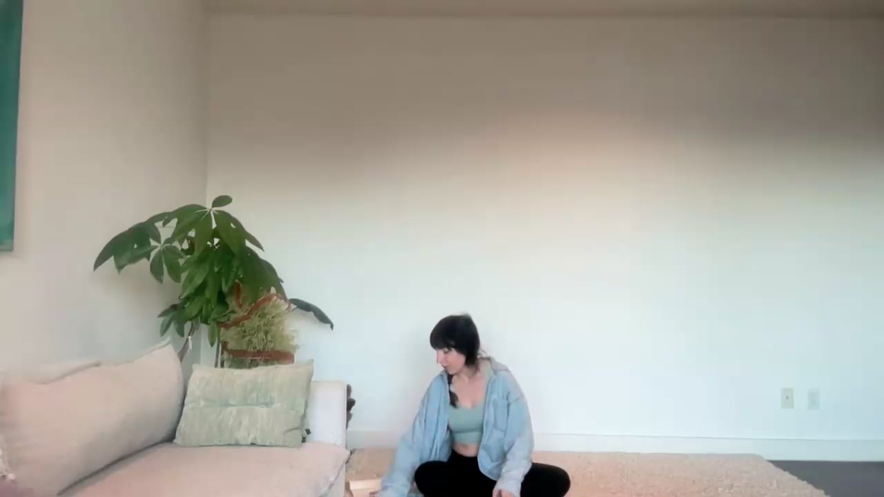 Feb 24: Somatic Flush: Disturbed Stress (30 min)