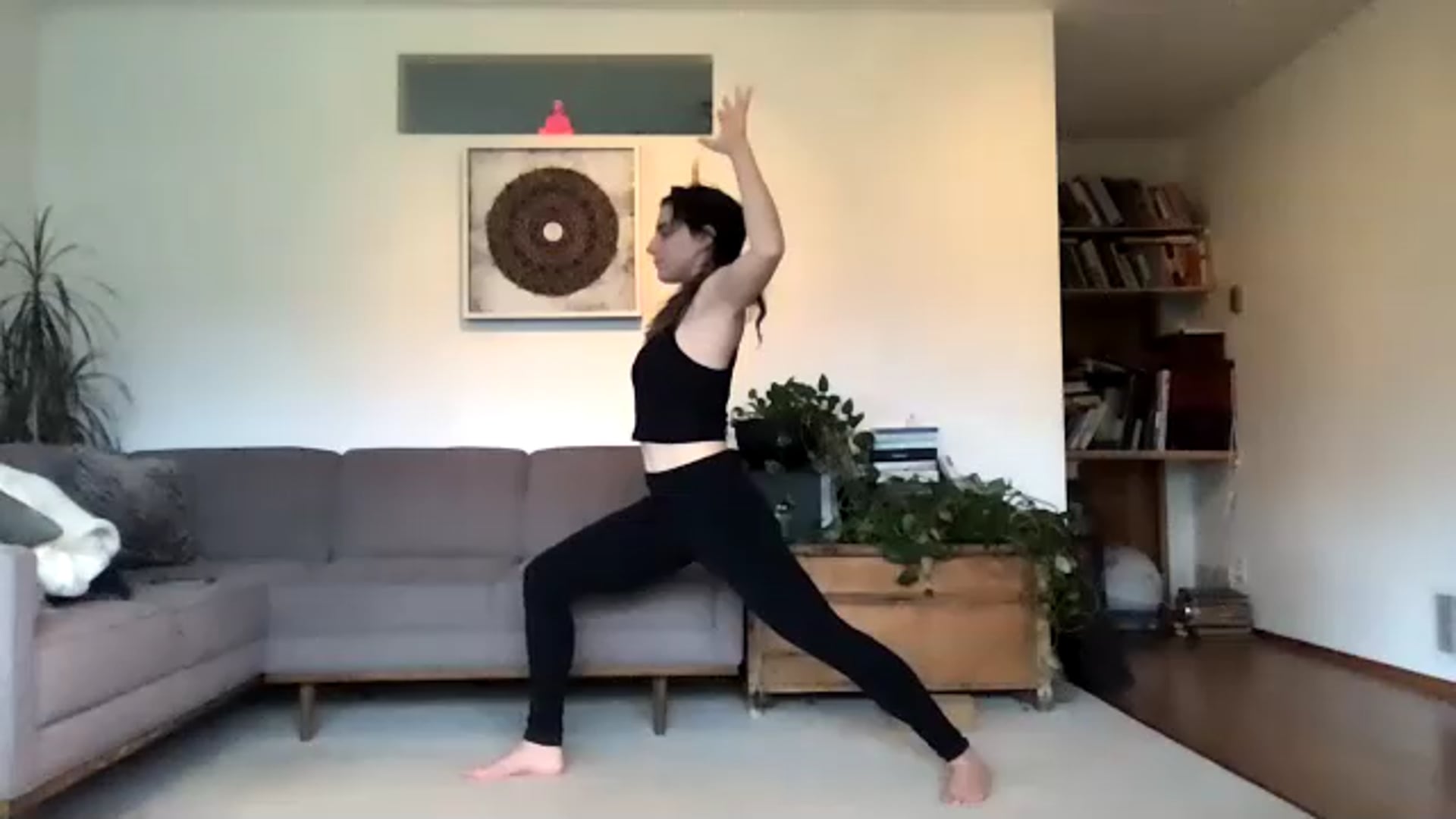 Jan 14: Intense Shoulder Therapy