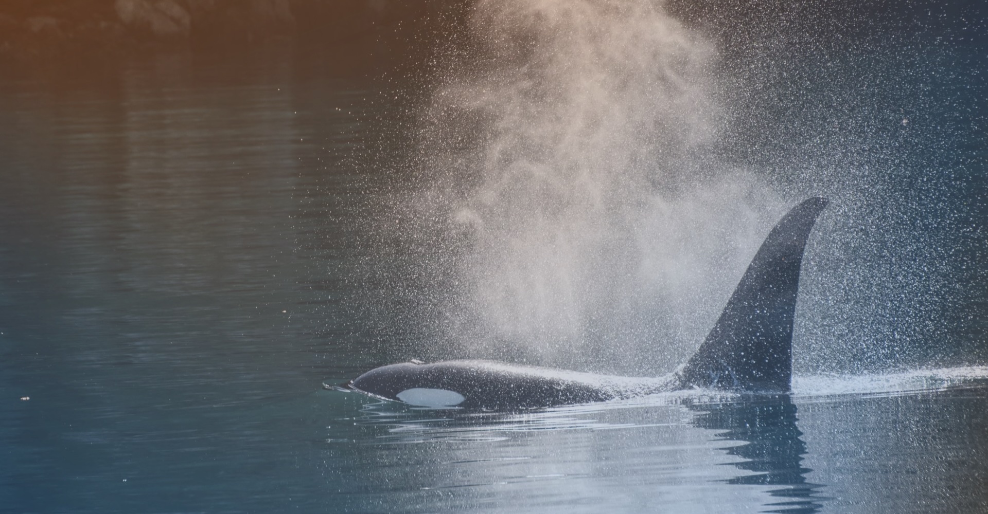 June 16: Spring Cleanse & the Physiological Sigh (31 min) 