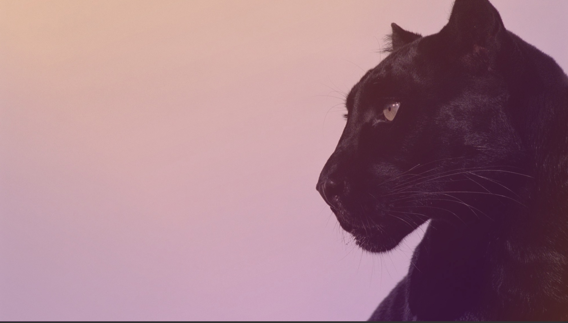 Advanced Embodied Breath: Pelvis & Creativity (30 min) 