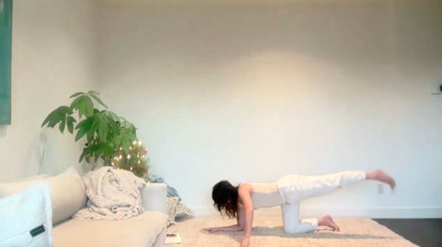 Jan 19: Somatic Hip & Body Flush (40 ...