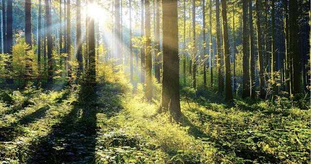 June 21: Summer Solstice Advanced Bre...