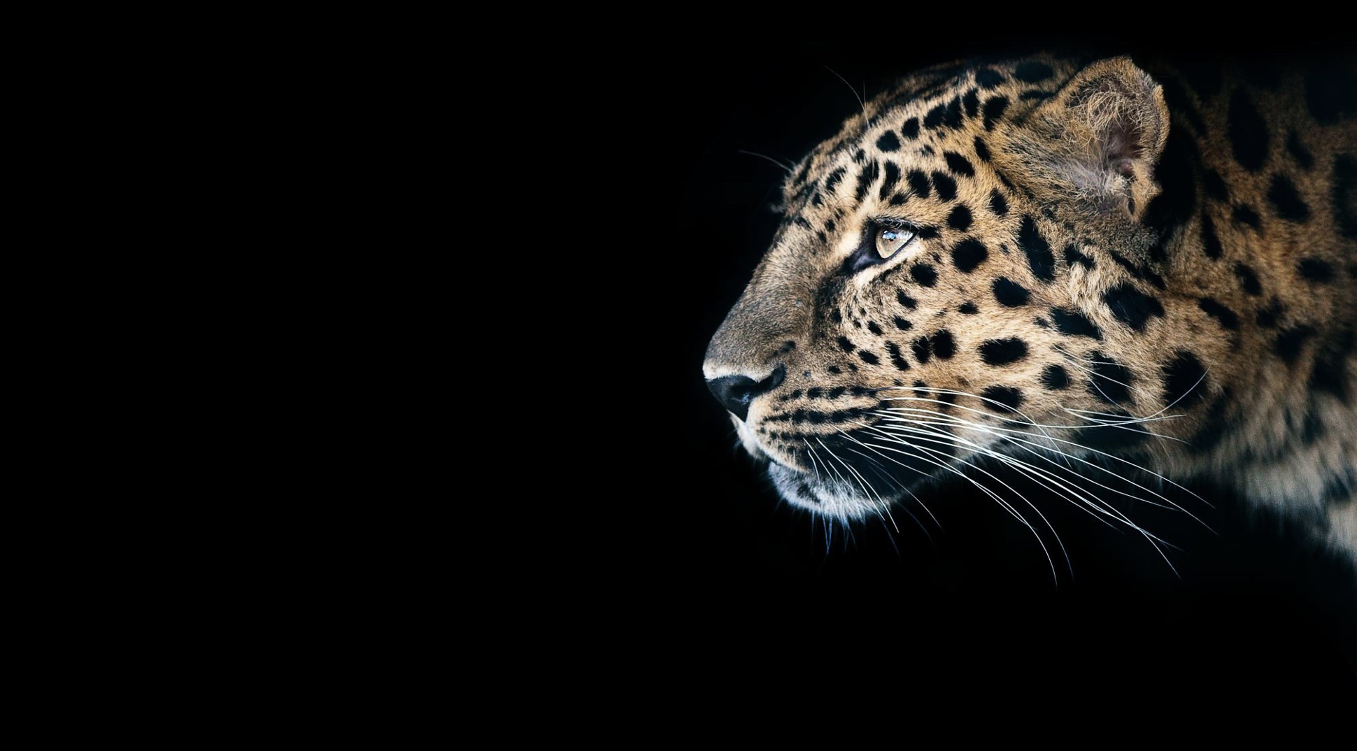 Apr 9: Breath for Releasing Fear & Increasing Ease (36 min) 