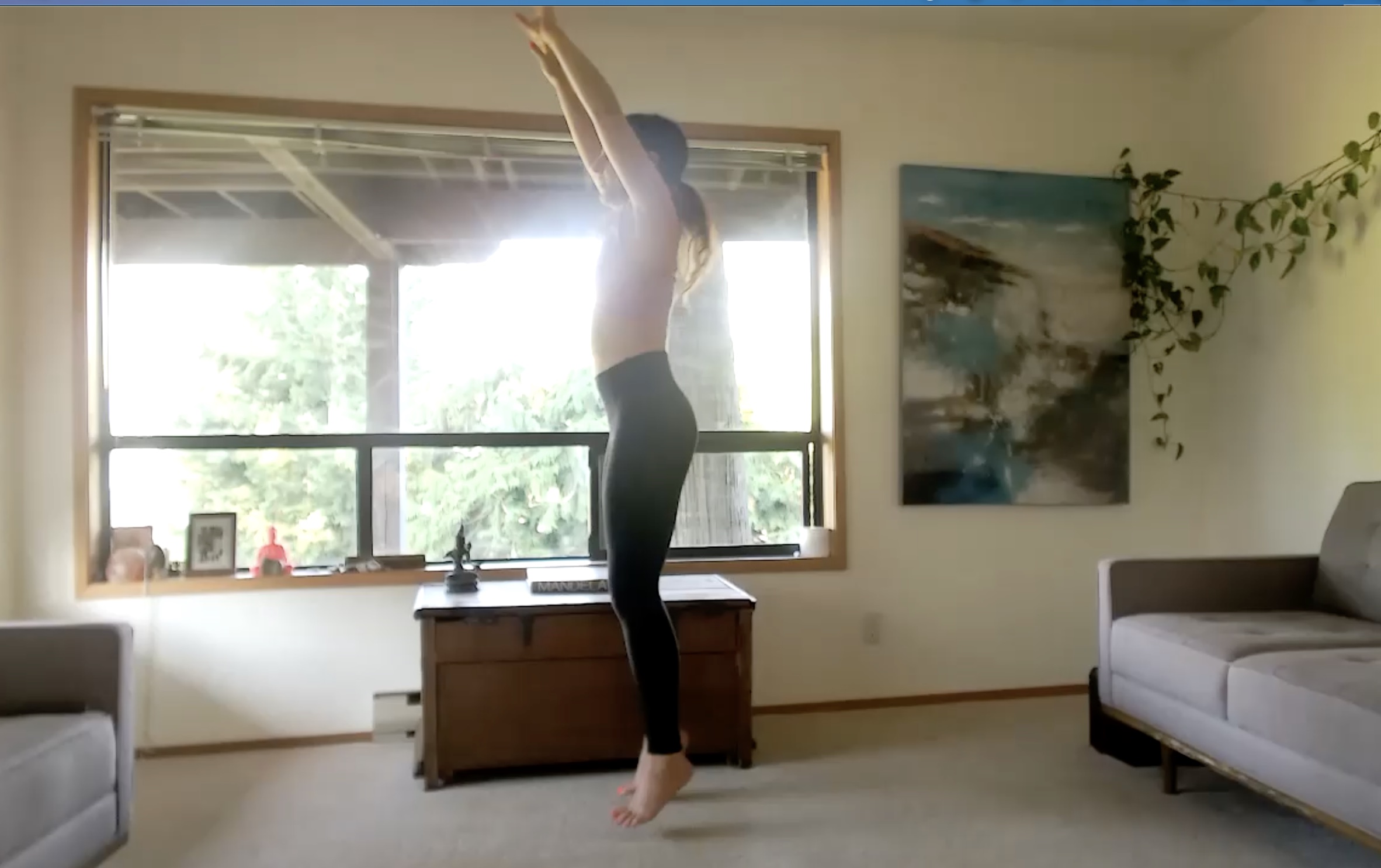 Shake it Off! (Cathartic Flush + Flow) 60 min 