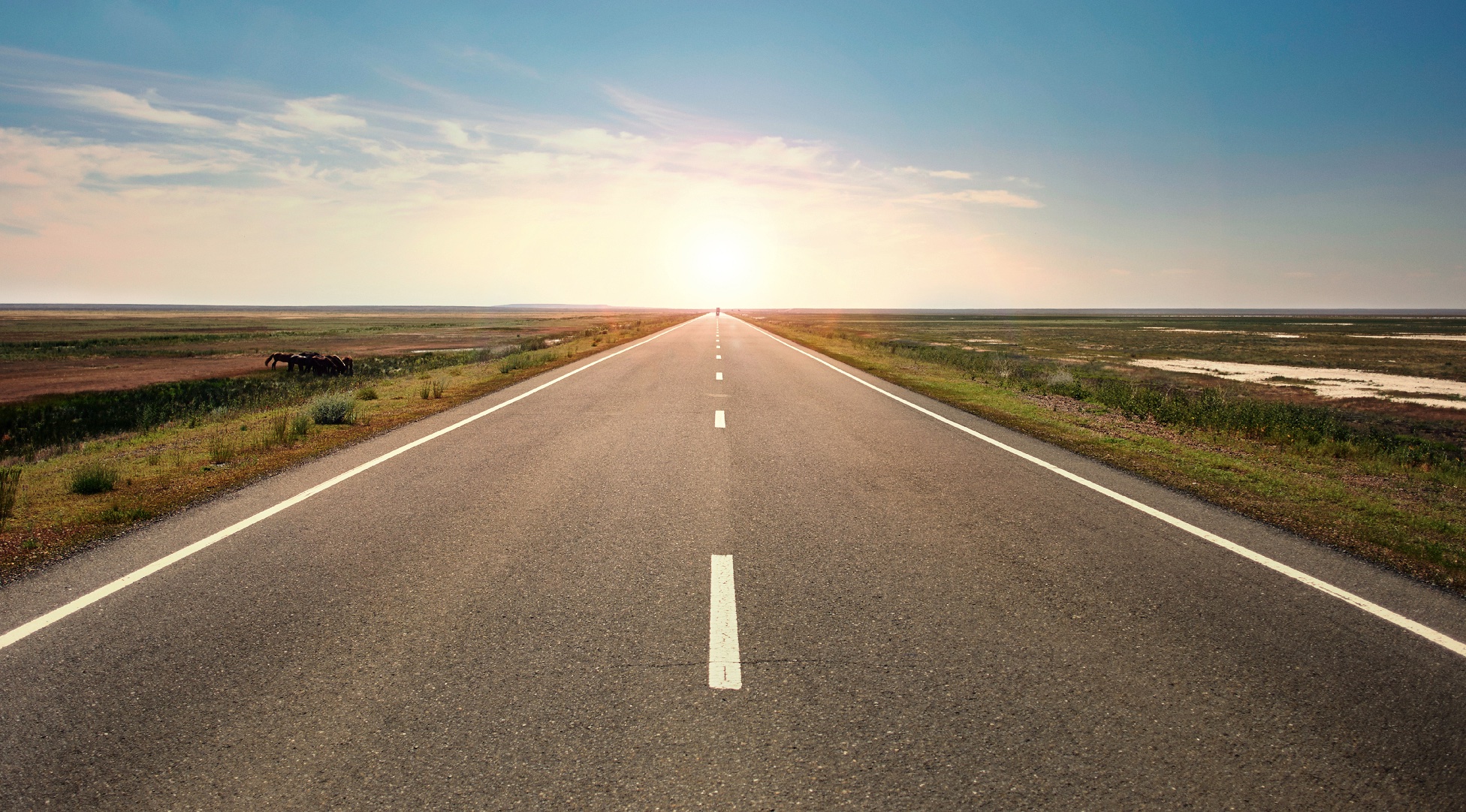 March 26: Advanced: Mindwandering, Ease & Wim Hof Breath (32 min) 