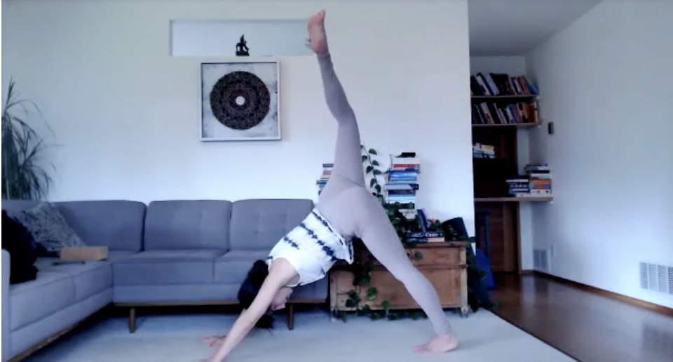 Spring Series 2022: Lymph Flush Asana (60 min) 