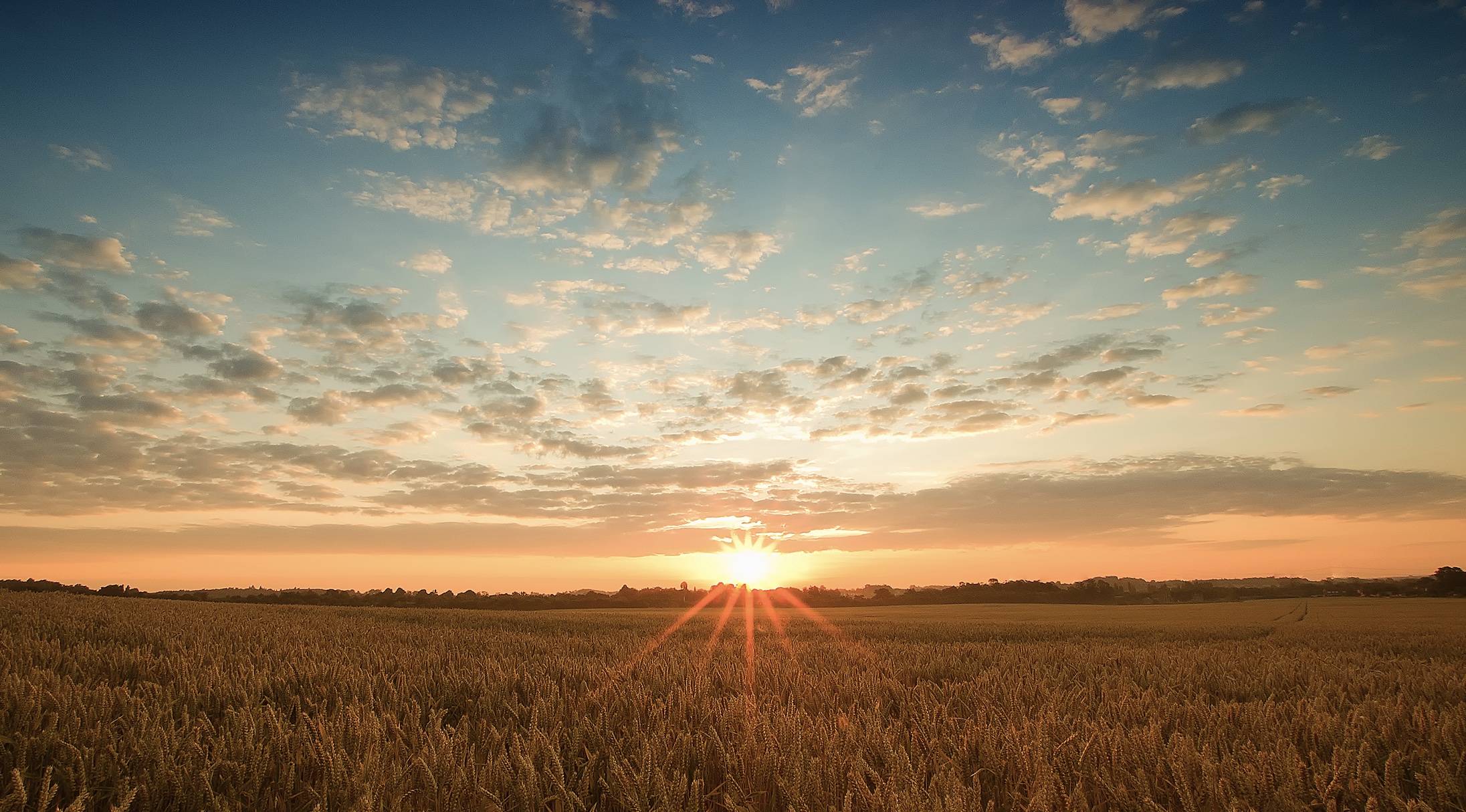 Nov 20: Advanced Mid-Week Moodlift 