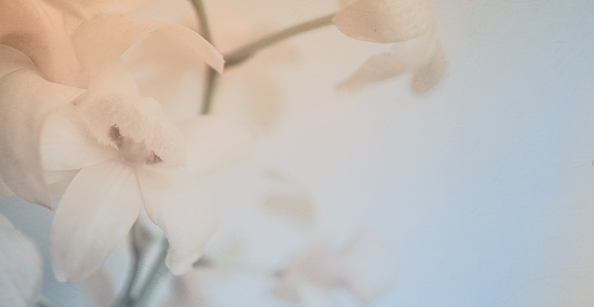 Oct 15: Circulate Stuck Energy: "Vase Breath + Wim Hof) (30 min)