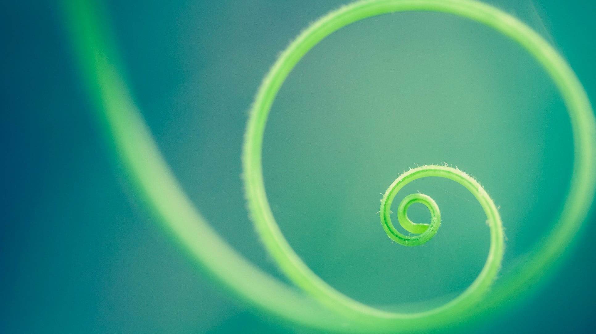 Aug 13: Lymphatic & Immune System Breath (32 min)