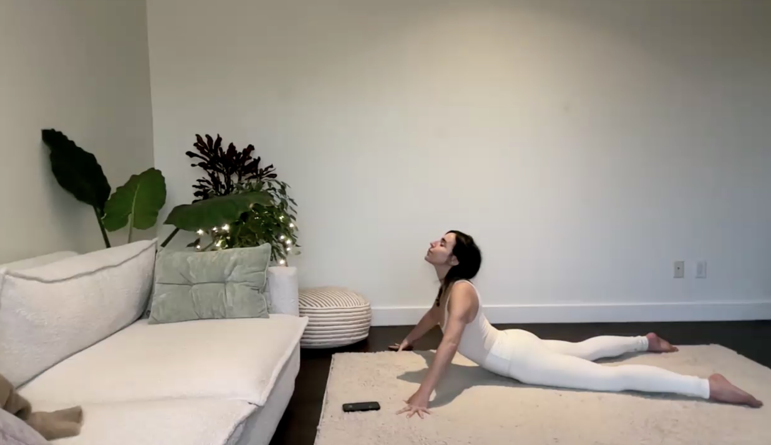 Jan 23: Restore Spinal Flush Rx (40 min) 