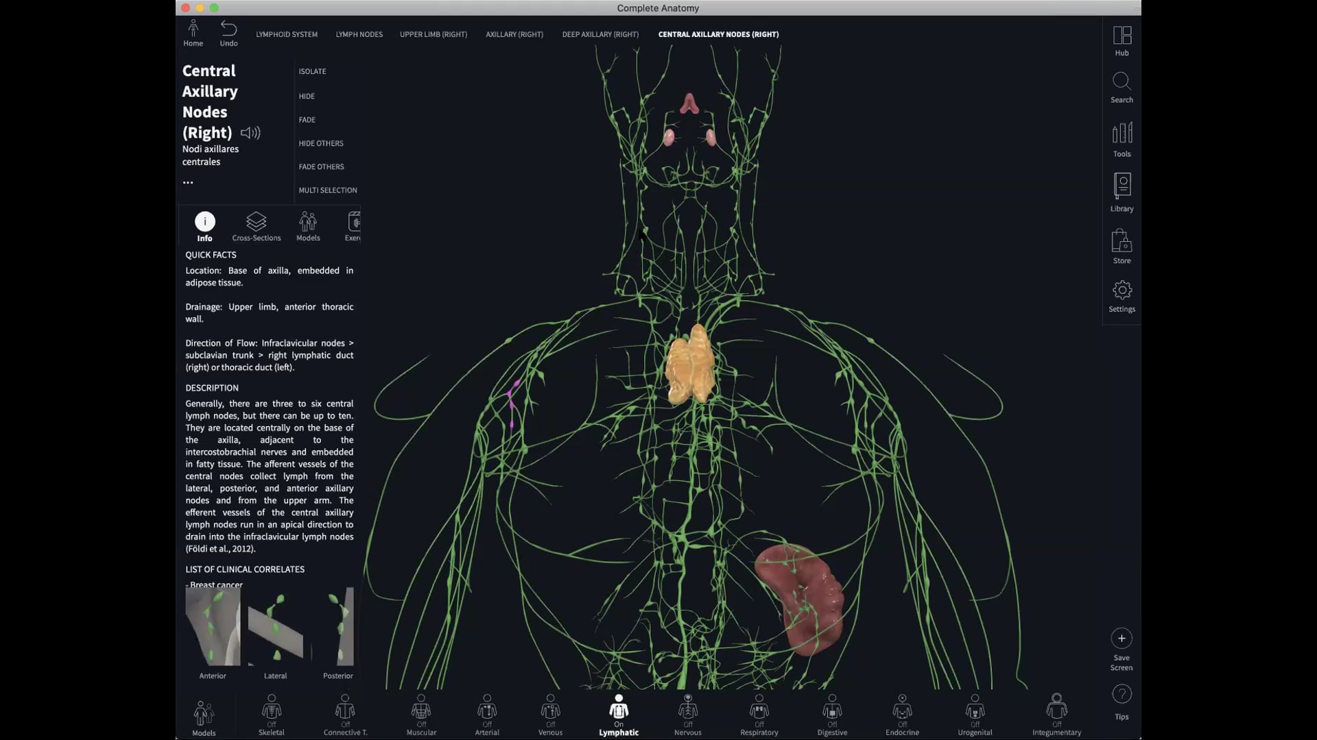 Feb 23: Kriya for the Lymphatic System