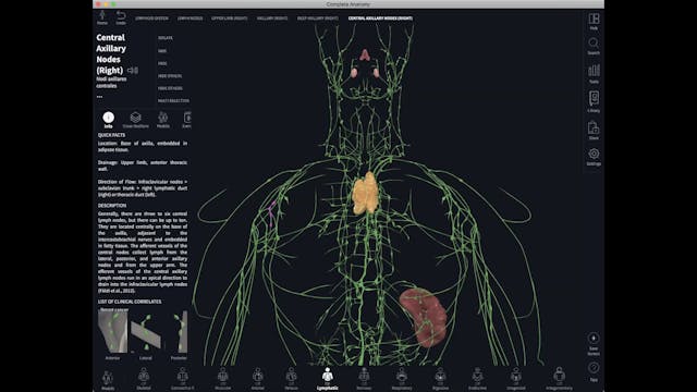 Feb 23: Kriya for the Lymphatic System