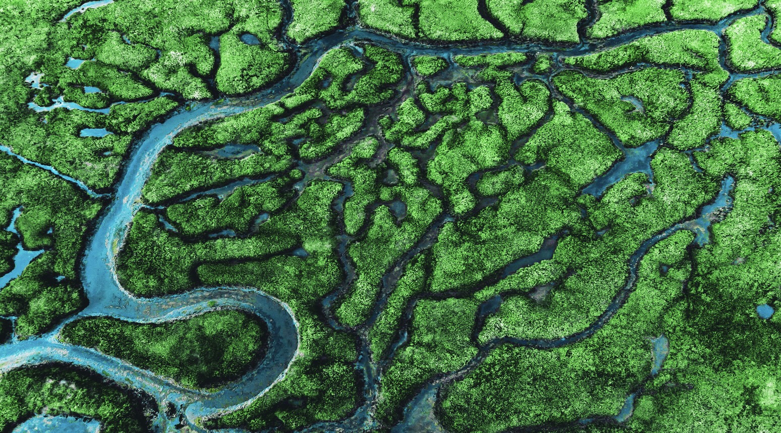 July 10: Lymphatic Flush (*minor sound issue)