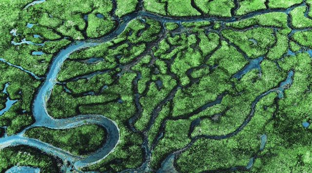 July 10: Lymphatic Flush (*minor soun...