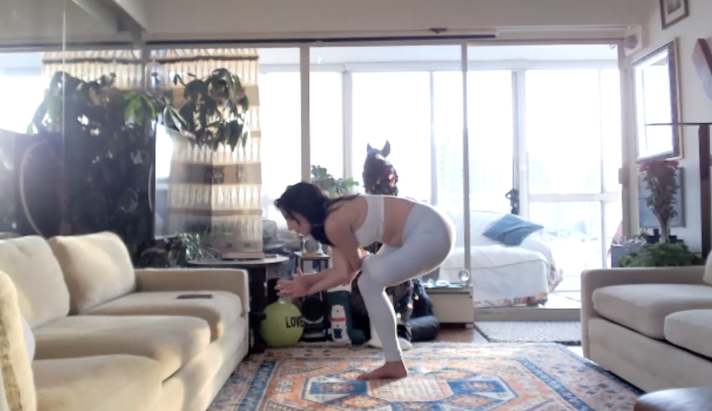 Hips & Backbends (50 min)